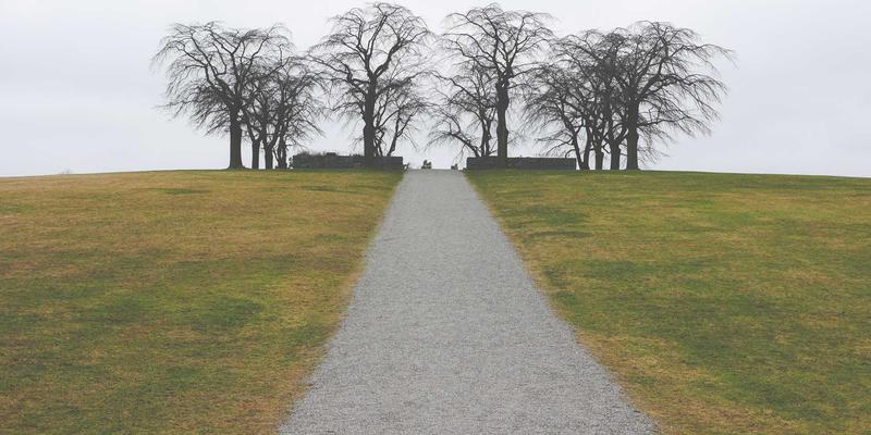 65购12：解锁隐藏优惠的购物秘籍与特价攻略