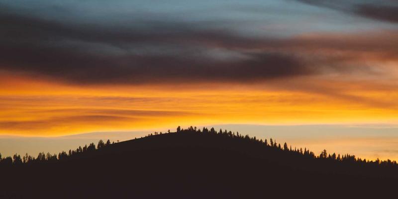 65购39：限时特价促销活动全解析，教你如何省钱又省心