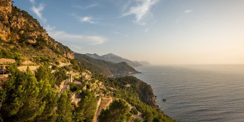 65购77省钱攻略：解锁隐藏优惠券与特价商品的终极指南