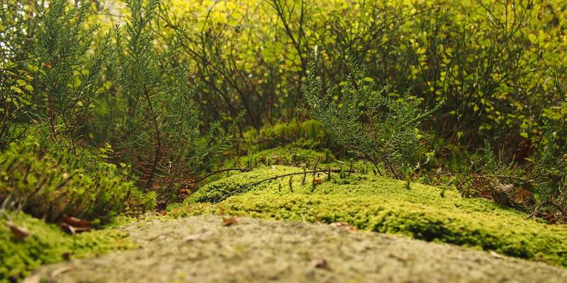 65购95：揭秘省钱购物新策略，让每一分钱都花在刀刃上