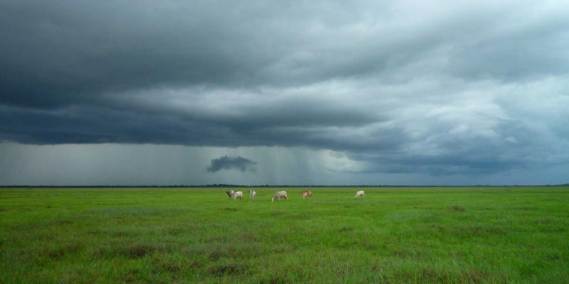 65购“购物伴侣”功能：AI助手如何重塑促销购物体验，智能搜索与比价一键搞定