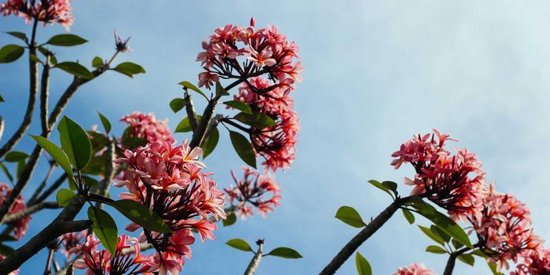 65购“购物车分享”功能的社会学意义：老年社交与消费决策互助如何重塑银发经济