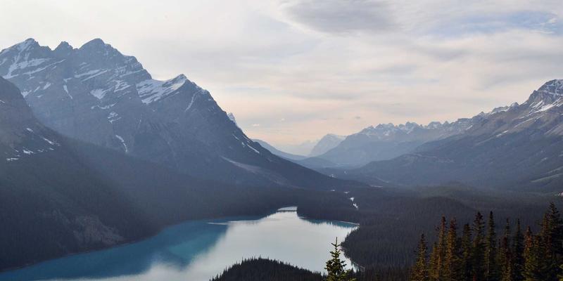 65购“购物辅导员”真人客服体系：您的专属省钱顾问，从选品到售后全程陪伴