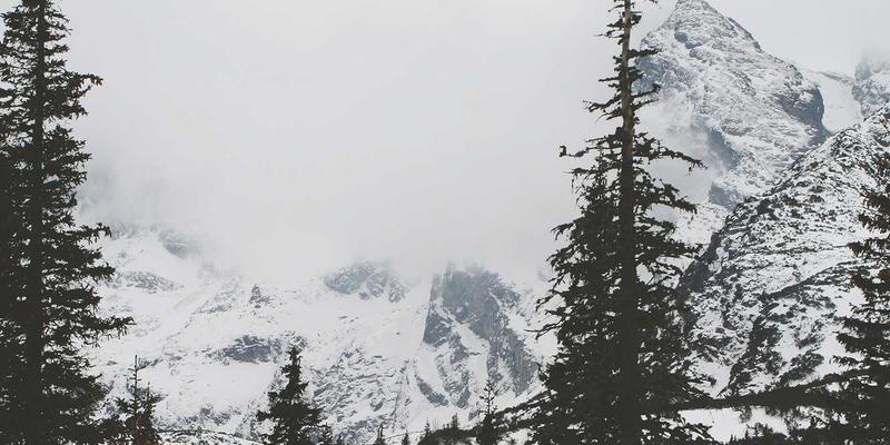 65购适老化支付优化：三大功能让长辈购物更省钱更安心