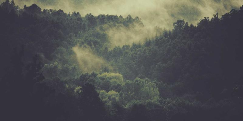 65购适老化界面设计解析：大字体、简操作如何提升银发族网购体验与购物转化