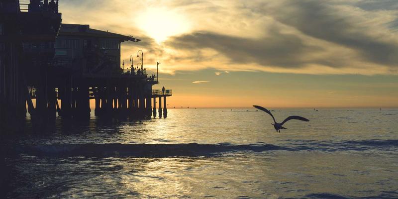 告别购物烦恼！65购“周期性购物”服务：为长辈打造自动下单与特价配送的贴心方案