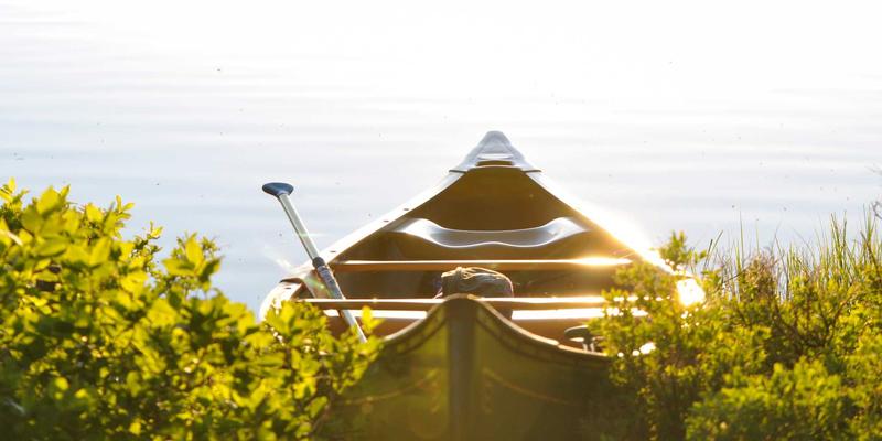 省钱养生两不误：65购如何用优惠券与折扣商品打造高粘性内容生态