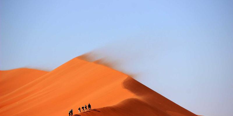 省钱购物新体验：65购适老化界面如何用大字体、高对比度与语音导航降低操作门槛